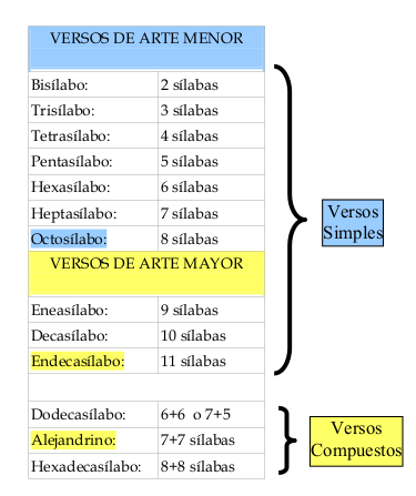 Versos según medida