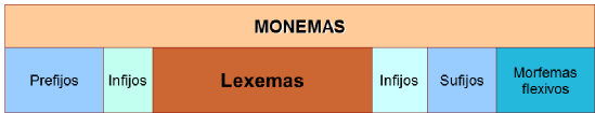 Lexemas y morfemas