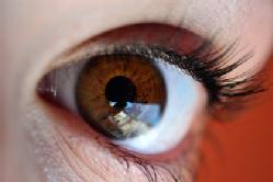 Una investigación clave para tratar retinopatías.